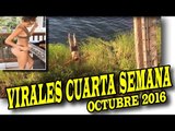 VIRALES Y FAILS MAS VISTOS DE LA CUARTA SEMANA DE OCTUBRE 2016 nuevo