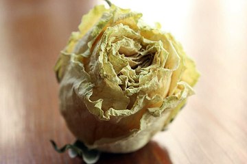 중구 대봉동립카페 김포마사지 밤전닷컴