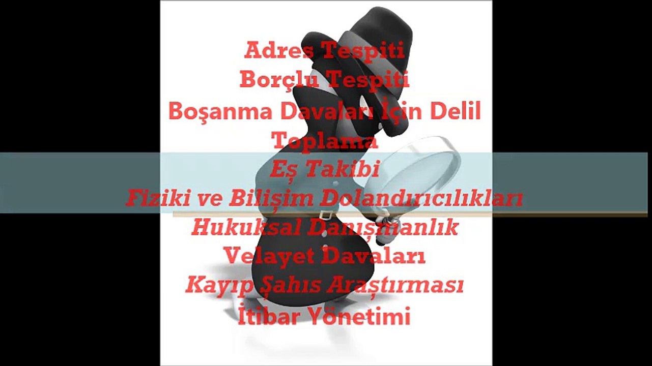 özel dedektif