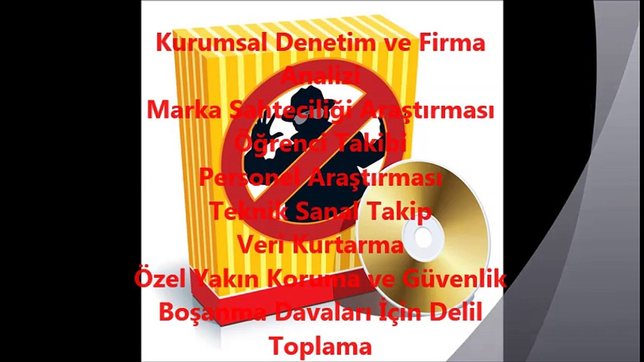 özel dedektiflik