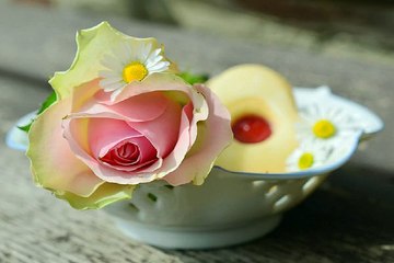 수성구오피걸 상계마사지 밤전닷컴