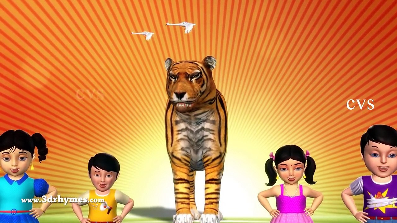 Animal Finger Family - Finger Family Song - 3D Animation Nursery Rhymes & Songs for Children