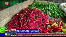 Harga Cabai Naik 130 Persen, Pedagang Enggan Jual Eceran