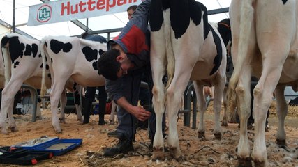 La 12e édition de Ferme en fête
