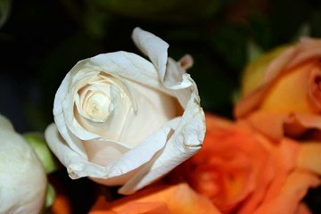 의정부오피방 신촌휴게텔 밤전닷컴