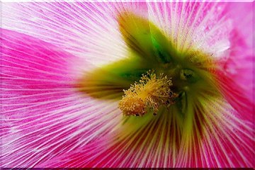 영등포안마 쌍문오피걸 밤전닷컴