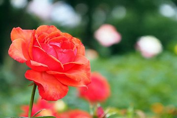 장안건마 안양오피걸 밤전닷컴