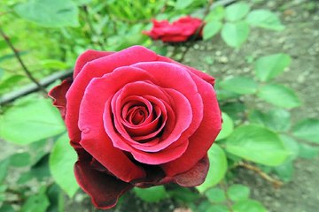 괴정키스방 해운대휴게텔 밤전닷컴