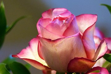 안양안마 부산키스방 밤전닷컴