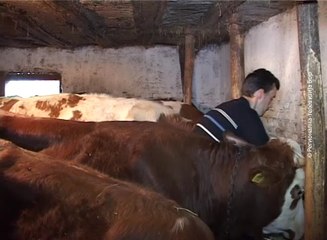 Braća iz Metovnice, 29. oktobar 2016. (RTV Bor)