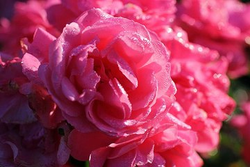 미아리안마 역삼키스방 밤전닷컴