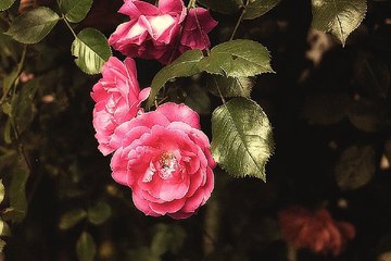 구글검색 밤전 동대문건마 정보 해운대마사지