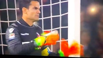 Bologna Fiorentina 0- 1 RIGORE KALINIC -