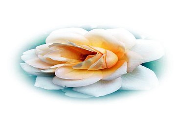 천안키스방 서초오피 경험담 밤전닷컴