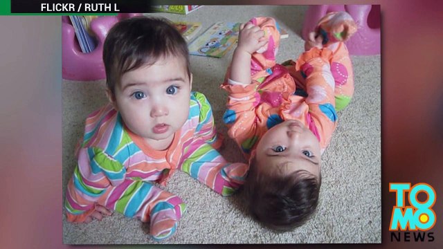 Cientistas confirmam primeiro par de filhotes de cachorro gêmeos idênticos do mundo.