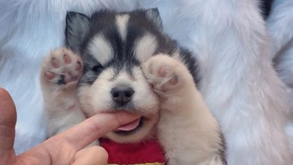 Your daily dose of cuteness