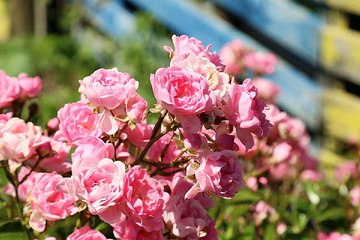 밤전 의정부휴게텔 최저가격 찾아보기 BamWar007.com