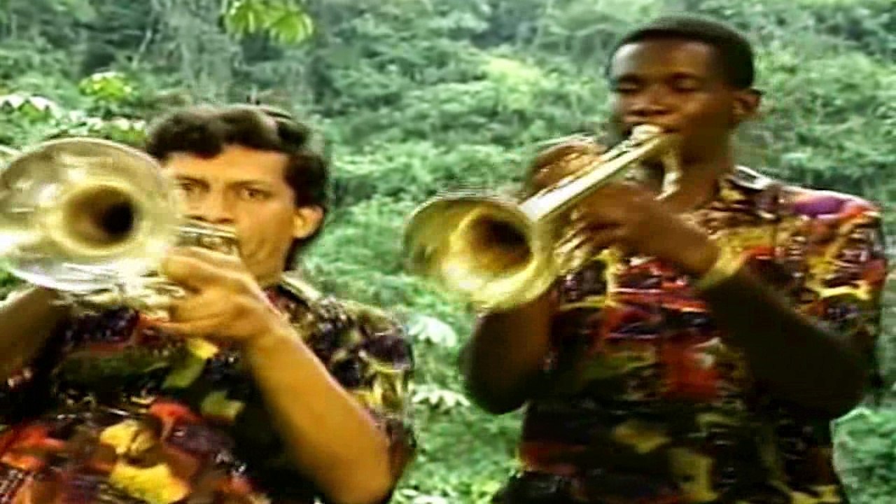 Con la punta del pie - Los Nemus del Pacífico