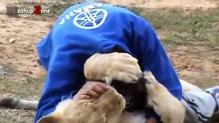 Tiger, Lion And Cheetah Cuddling With Humans - A Big Cats Compilation 2016