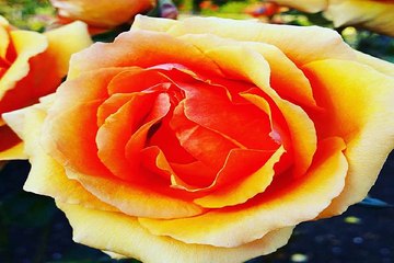 구글검색 밤전 천호키스방 프로필 의정부휴게텔