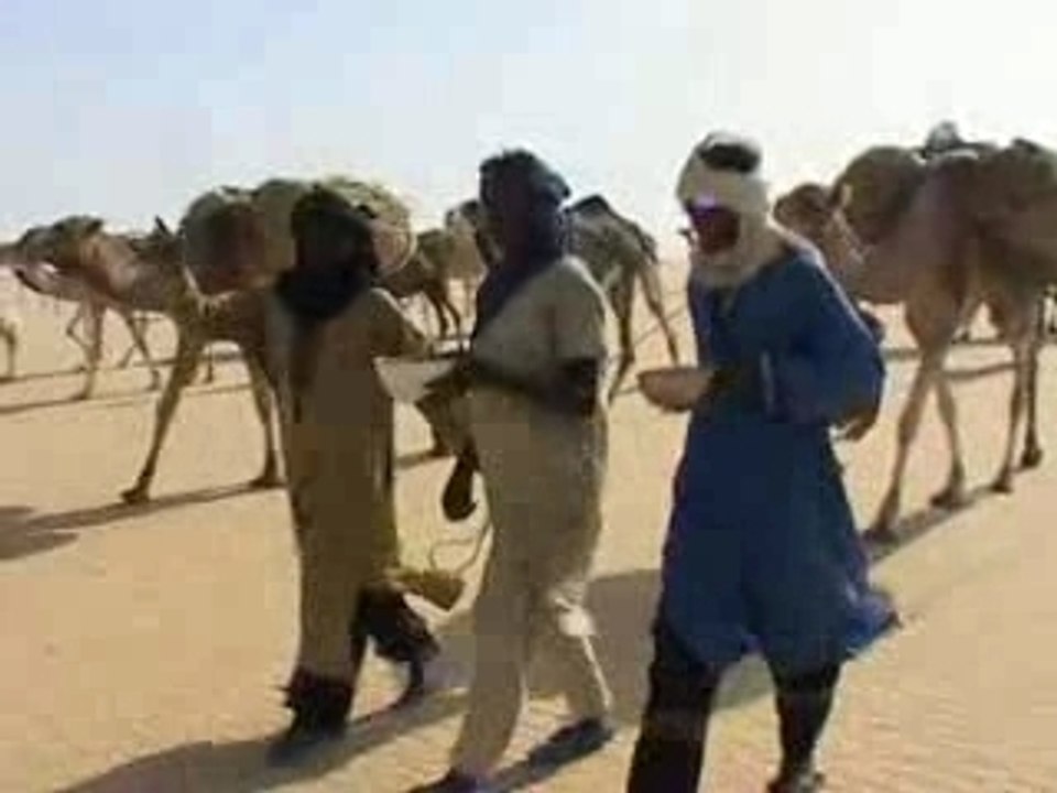 Tinariwen, Desert in Tokyo