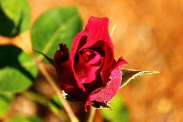 의정부휴게텔 군자키스방 썰 밤전닷컴