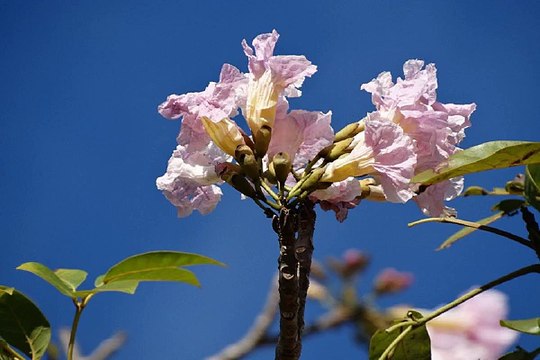 밤전 세종 안마시술소 내상없는 최고의 밤문화 BamWar007.com