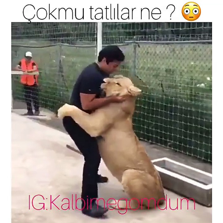 Dost oldukları kesin