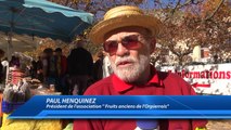 D!CI TV : Hautes-Alpes : Des milliers de visiteurs pour le marché des fruits anciens à Orpierre
