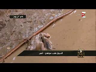 الأسماك تغزو شوارع سوهاج بسبب السيول