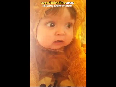 Dosta Güven Düşmana Korku Salan Kükremesiyle Minik Aslan