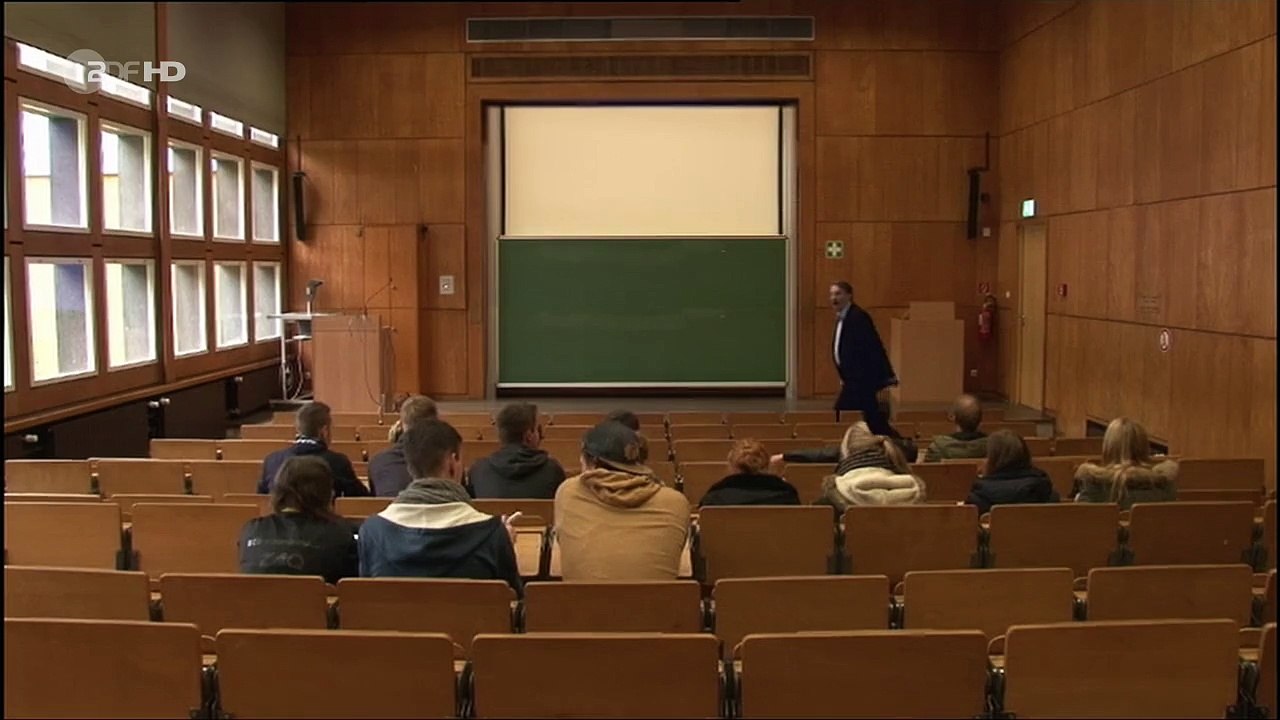 Dietmar Wischmeyer: Die Grünen