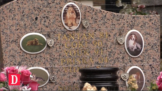 Le cimetière animalier, à la mémoire de fidèles compagnons