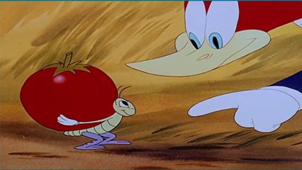 PICA PAU QUEM COZINHA QUEM ?