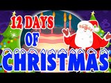 Doze dias do Natal | 12 dias de Natal | Melhores Canções de Natal | Canção de Natal