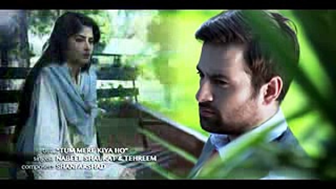 Tum Mere Kya Ho official Video Song 720p HD