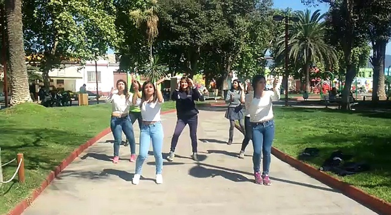 FlashMob Construccion Alianza Blanca!