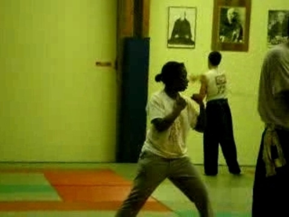 Sanshou combo2