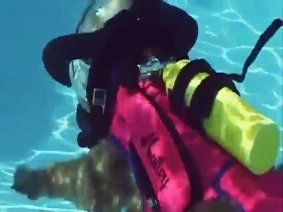 Oui, ce chien fait de la plongée sous-marine... WTF