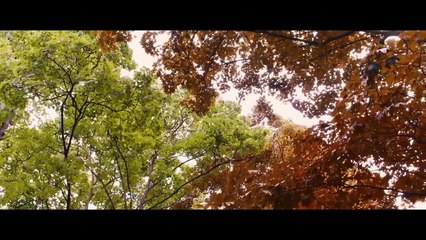 La vie d'Adèle - bande annonce