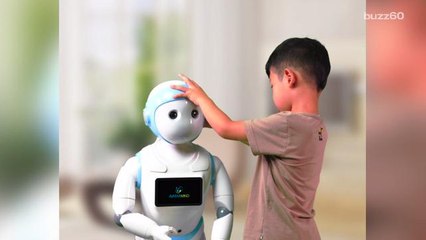 The iPal Robot Is a Friend, Teacher and Nanny