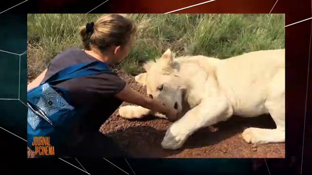 Le journal du cinema du 30/09 - Sur le tournage de Mia et le lion blanc, Laurent Lafitte dans K.O, Les docs engagés comme Fuocoammare, Abel Ferrara invité du Festival Addiction à l'oeuvre , BA des Animaux Fantastiques