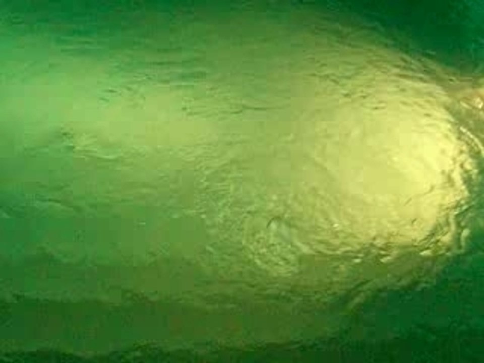 La piscine des collines de Marseille