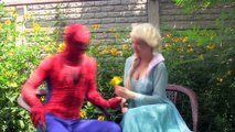 Spiderman vs MALEFICENT !  w/ Frozen Elsa, Pink Spidergirl, Joker, Anna, Batman, Hulk :)