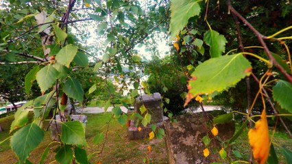 Na klupi u parku u Konjicu