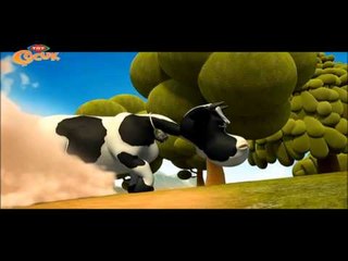 KUZUCUK / KIZGIN İNEK