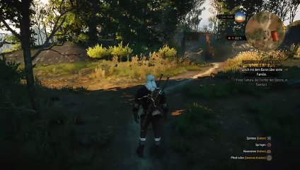 Witcher noob teil 5 (7)