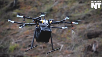 Droneseed Brings Reforestation Into The 21st Century