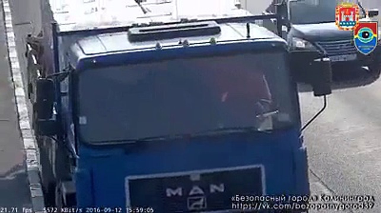 Mače na autoputu